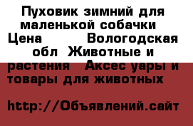 Пуховик зимний для маленькой собачки › Цена ­ 600 - Вологодская обл. Животные и растения » Аксесcуары и товары для животных   